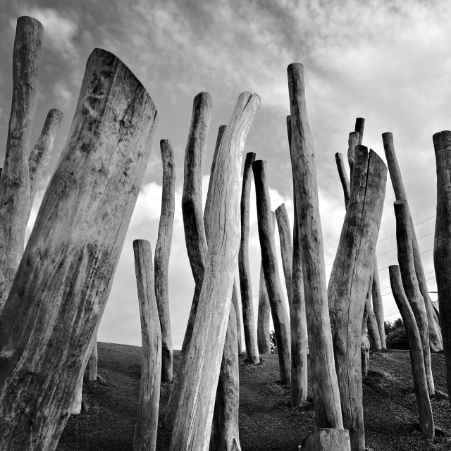 Industrially sewn logs rise up from artificial turf on a steeply sloped hill with a cloud-studded sky behind them.